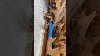 Can pex pipe freeze and burst?