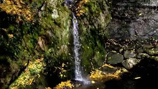 Relaxing Stress Relief Music ​, Meditation Music, Calming sleep music | intelligent Relax