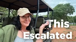Safari, Gen Z & Surviving Both