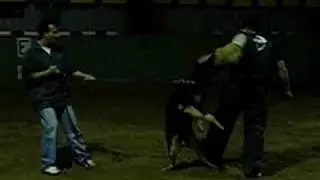 regalhaus Zorro