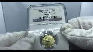 Crazy Toned Morgans, Germany Empire Medal, and a Toned German Hannover (Lesson 4 - Being Thankful)