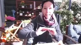 Gartensprechstunde - UV Farbe, Siebdruckset und Schablonieren