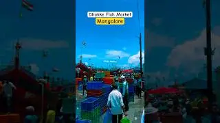 Dhakke Fish Market, Mangalore (@ViVAsStories1983) #dhakke #bunder #kudla #mangalore #fish #shorts