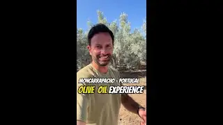 Olive Oil Farm Experience - Moncarapacho - Algarve - Portugal