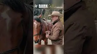 horse wants to bolt? #horsetips #horesmanship #horses
