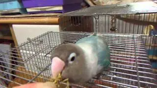 DSCF9827