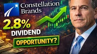 Constellation Brands (STZ) Analysis: 20 Years of Growth vs. Current Risks