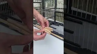GAIOLA PASSARINHO EM MADEIRA - REPRODU&Ccedil;&Atilde;O CAN&Aacute;RIO / COLEIRA / CURI&Oacute; - ABAULADA PRETO