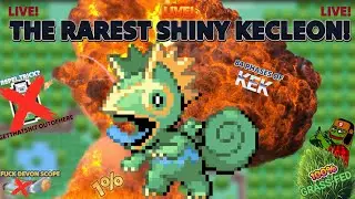 (FIRST LIVE ON YOUTUBE!) I FOUND THE RAREST SHINY KECLEON IN POKEMON RUBY/SAPPHIRE! 1% Shiny Kecleon