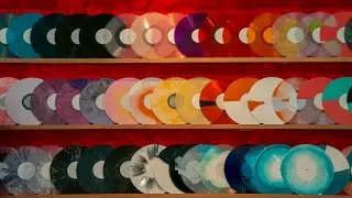 Vinyl Never Dies 