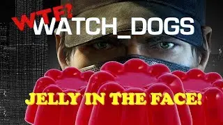 WTF Watch Dogs - Jelly In The Face (Funny & Bizarre Moments)
