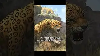 The most dangerous Animal of the Pleistocene #history #historyfacts #smilodon