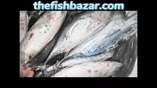 Tuna Fish| https://thefishbazar.com/