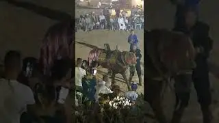 لطفي الحامدي عرس حسن بن طرشون