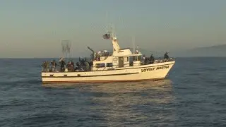 RAY CITTE RV San Francisco Deep Sea Fishing Episode #2 RV Safari Video