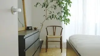 What is Mid-Century Modern, Anyways?