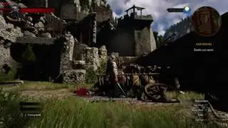 Dick Move - The Witcher 3