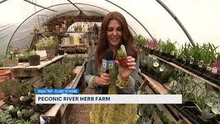 Peconic River Herb Farm is a gardeners' paradise