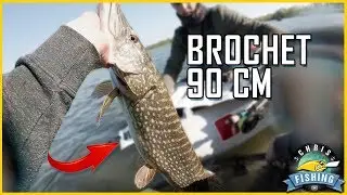 Brochet 90 cm NEW RECORD en float tube
