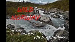 Roaming Wild Norway