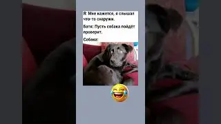 😂😂😂 #свежиеанекдоты #мем