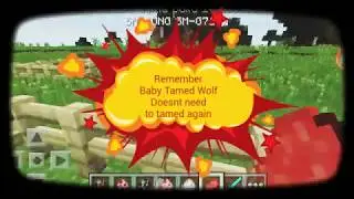 McPe Breeding Tutorial