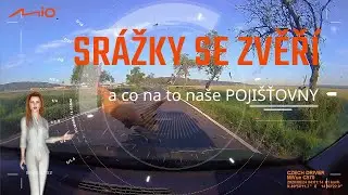 SRÁŽKY S LESNÍ ZVĚŘÍ a co na to POJIŠŤOVNY ! | rozhodující je druh zvířete a DŮKAZ | autokamery MIO