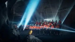 Bird in The Mine - Electrifying the Future