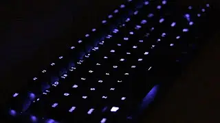Razer Huntsman TE Review and Sound Test! (Comparison to Apex Pro and Huntsman Mini)