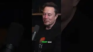 Launching Rockets and Fishing  The Absurd Connection Explained! #elonmusk #tesla #lexfriedman