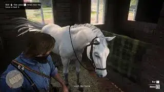 Red Dead Redemption 2 | Stealing Horses | Game Play