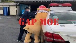 Explaining Gap Moe