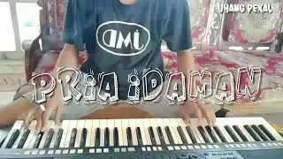 Pria idaman vrsi organ tunggal manual