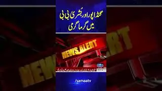 PTI Protest | Ali Amin Gandapur Vs Bushra Bibi | SAMAA TV | #trendingshorts
