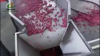 Dry dog food making machine Dog Food Making Machine