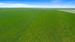 Four Quarters Farmland - Plato, SK Area RM #228