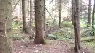 Peniglen Training