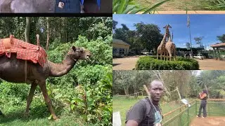 60 minutes in da Zoo (UWEC) Entebbe 