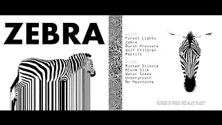 THE GARAGE WIZARD - ZEBRA (2015) FULL ALBUM