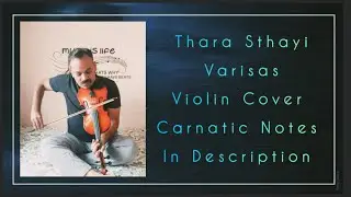 Carnatic Music I Thara Sthayi Varisas I Violin Cover I Carnatic Notes In Description