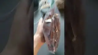 brown bricks are fragile
