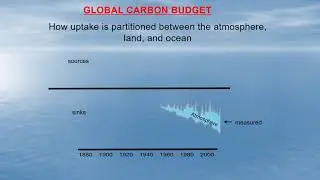 Andrew Watson: Why we need GO-BGC-Argo for the global carbon budget