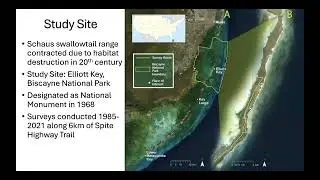 Integrating ecological and genetic data for insect conservation in the Florida Keys