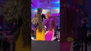 Pet Fashion Show (part 3)