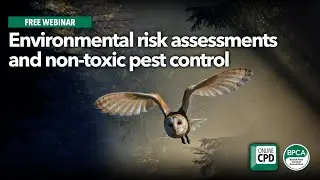 WEBINAR: Environmental risk assessments