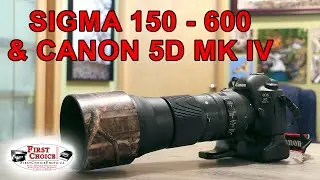 Before you switch the Sigma 150 - 600 to another body WATCH THIS. Canon 5D MkIV with Sigma 150 - 600