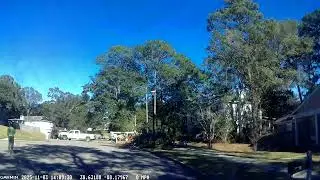 Tree felling precision