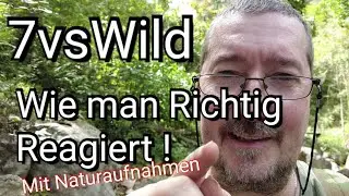 #7vswild Reaktion auf jeden Beef, Streit, Luegen und Elite Malus.