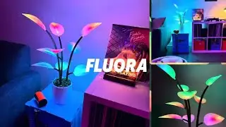 Unboxing y primeras impresiones de la Fluora Mini