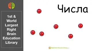 0-10 Russian Math Baby Flash Cards - детские карточные матчи (Random Dots)